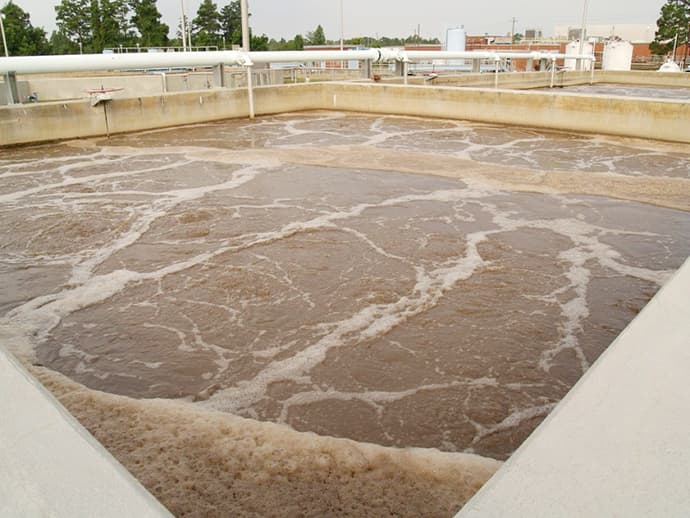Bùn vi sinh trong công nghệ xử lý nước thải.
