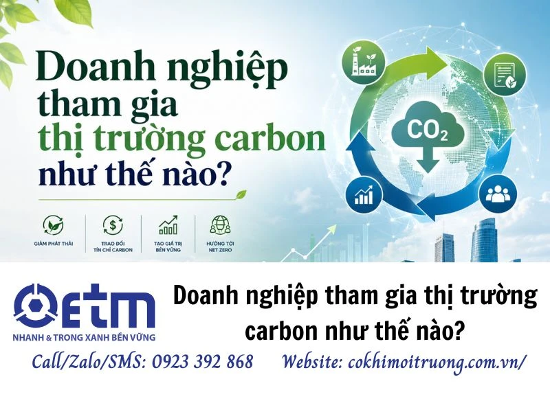 Doanh nghiệp tham gia thị trường carbon như thế nào?