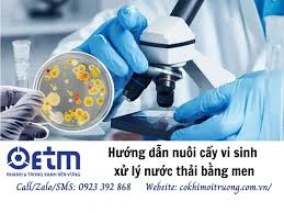 Hướng dẫn nuôi cấy vi sinh xử lý nước thải bằng men