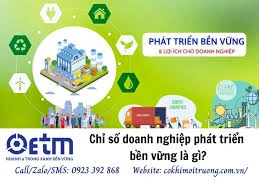 Chỉ số doanh nghiệp phát triển bền vững là gì?