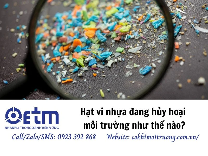 Hạt vi nhựa đang hủy hoại môi trường như thế nào?