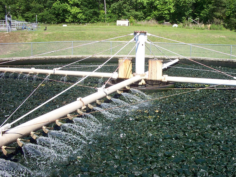 Bể lọc sinh học và ứng dụng hiệu quả trong xử lý nước thải