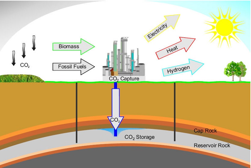 thu hồi và lưu trữ carbon