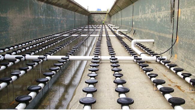 Hệ thống đĩa thổi khí trong xử lý nước thải