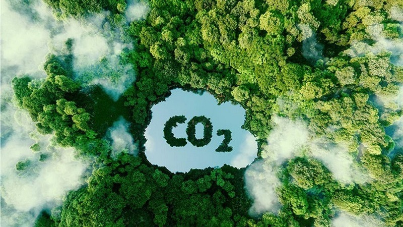 Chính thức vận hành sàn giao dịch tín chỉ carbon vào năm 2028