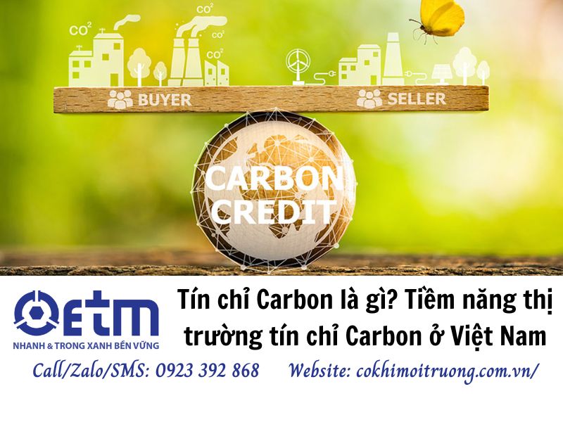 Tín chỉ Carbon là gì? Tiềm năng thị trường tín chỉ Carbon ở Việt Nam