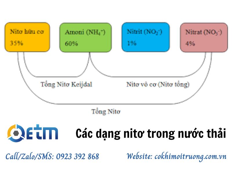 các dạng nito trong nước