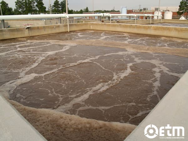 Ứng dụng bùn hoạt tính xử lý nước thải ngành thủy sản