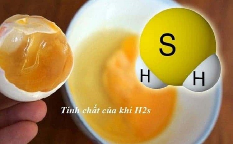 xử lý khí thải h2s-2