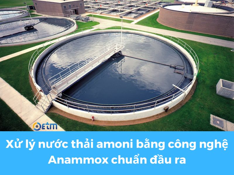 Xử lý nước thải amoni bằng công nghệ anammox chuẩn đầu ra