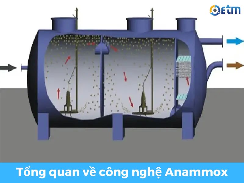 xử lý nước thải bằng công nghệ anammox-2