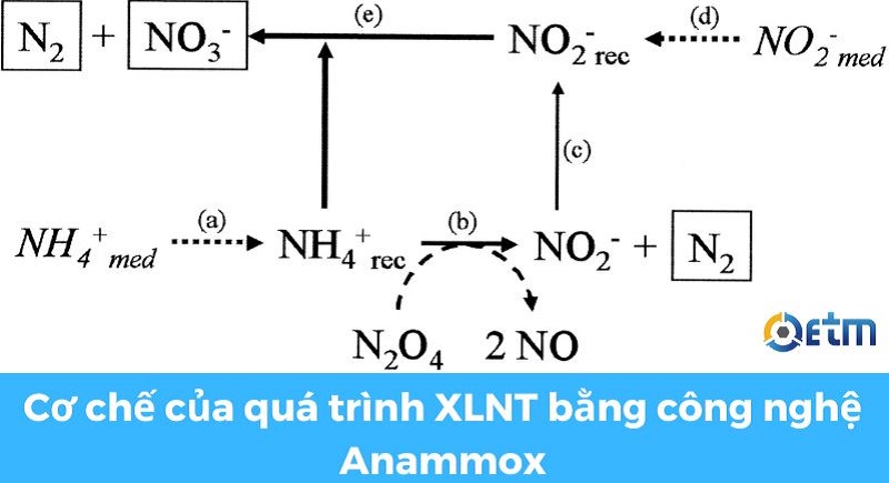 xử lý nước thải bằng công nghệ anammox-3
