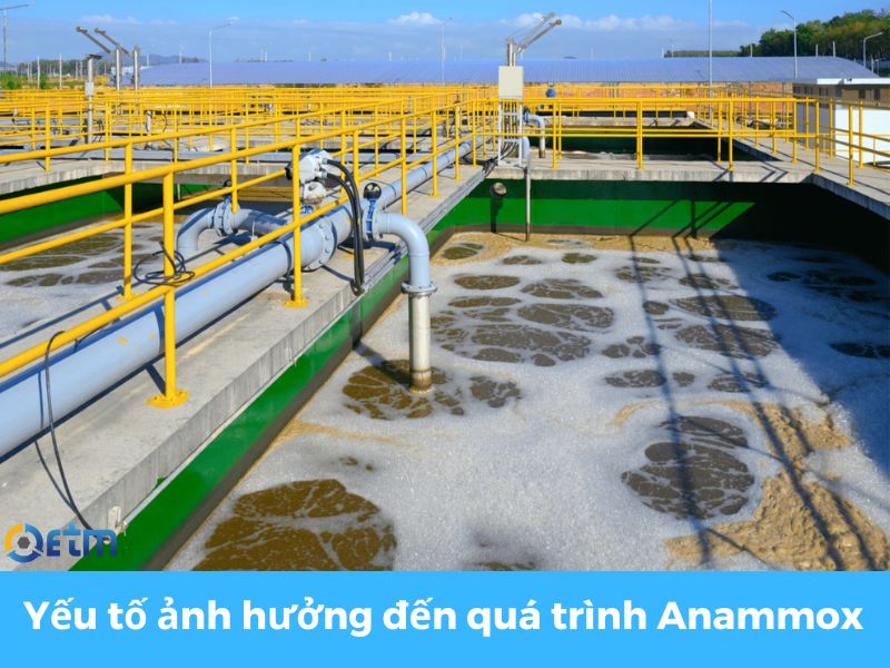 xử lý nước thải bằng công nghệ anammox-4
