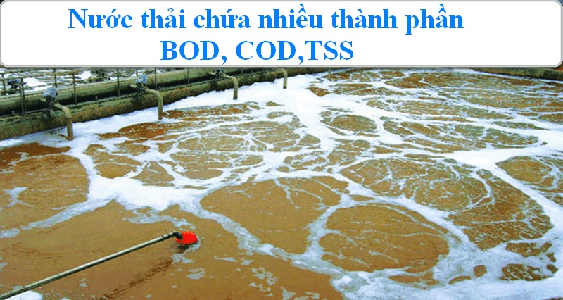 Top 4 phương pháp xử lý COD, BOD, TSS trong nước thải hiệu quả