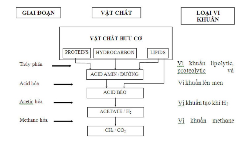 xử lý nước thải nhiễm mặn 5