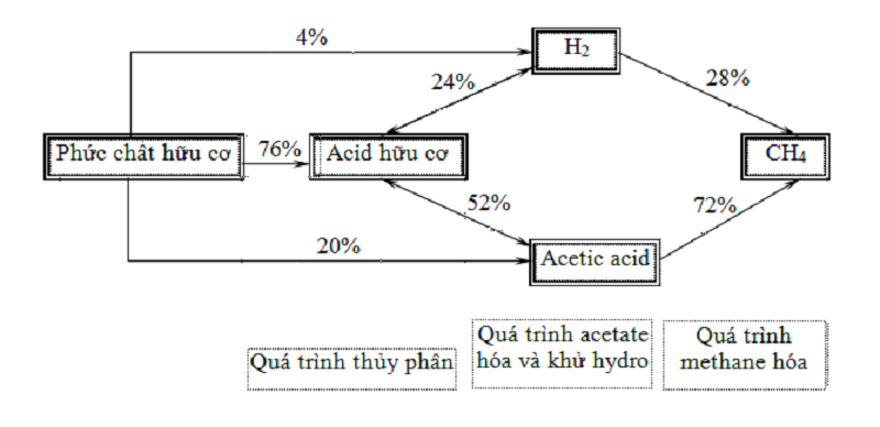 xử lý nước thải sinh hoạt 4